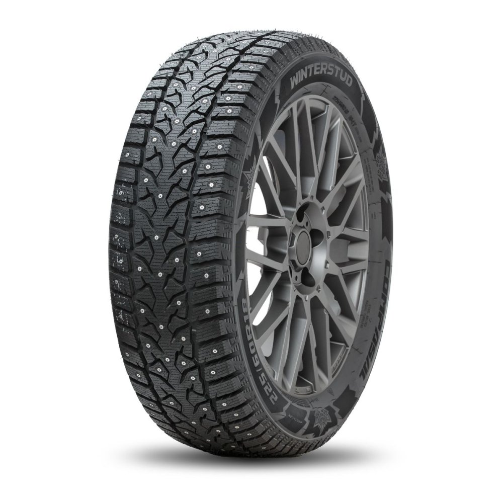 Compasal Winter Stud 195/55 R16 87T