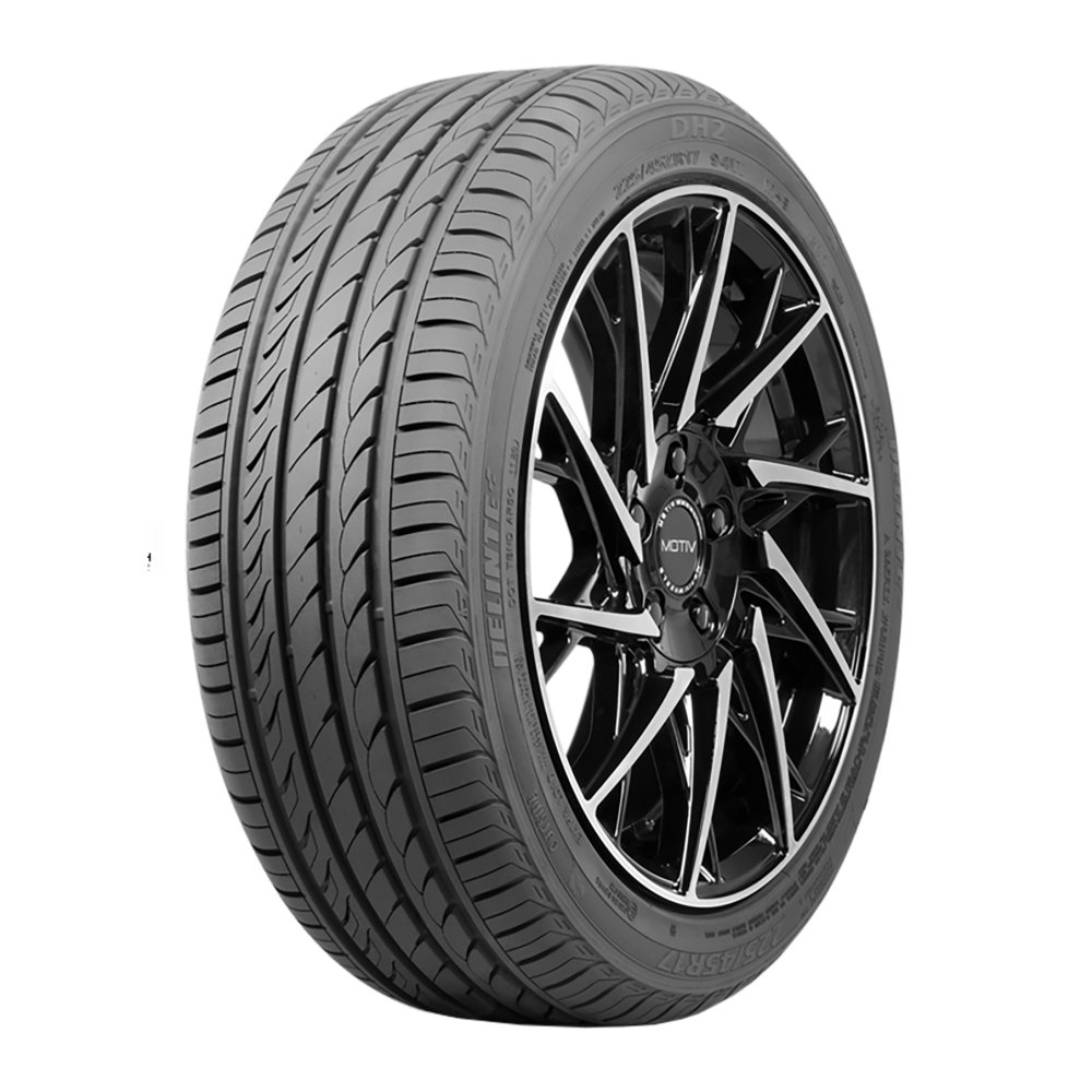 Delinte DH2 195/60 R16