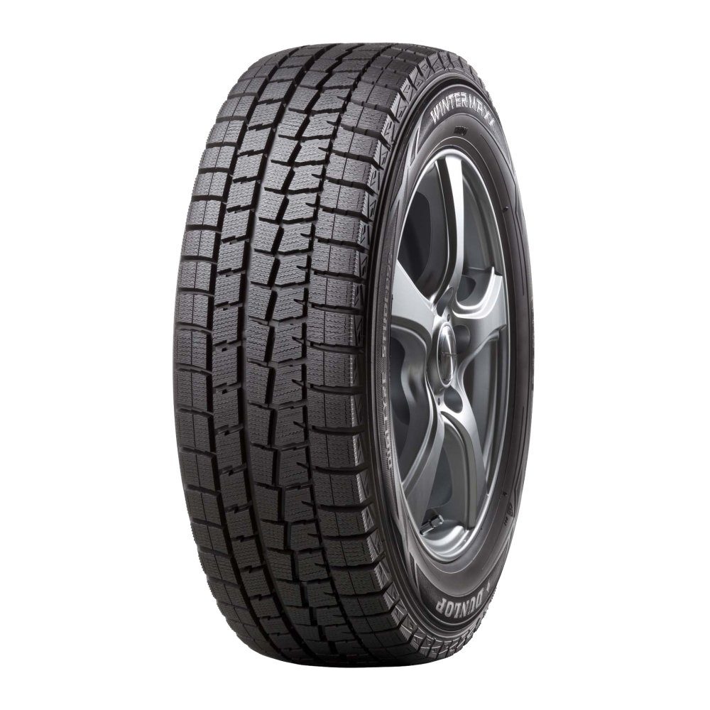 Шины Dunlop Winter Maxx WM01