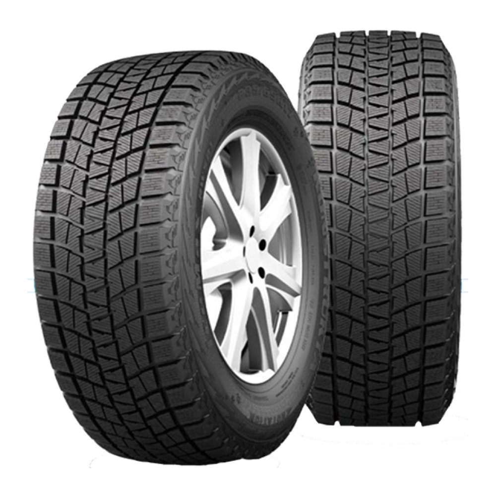Kapsen RW501 IceMax 255/40 R19 100H