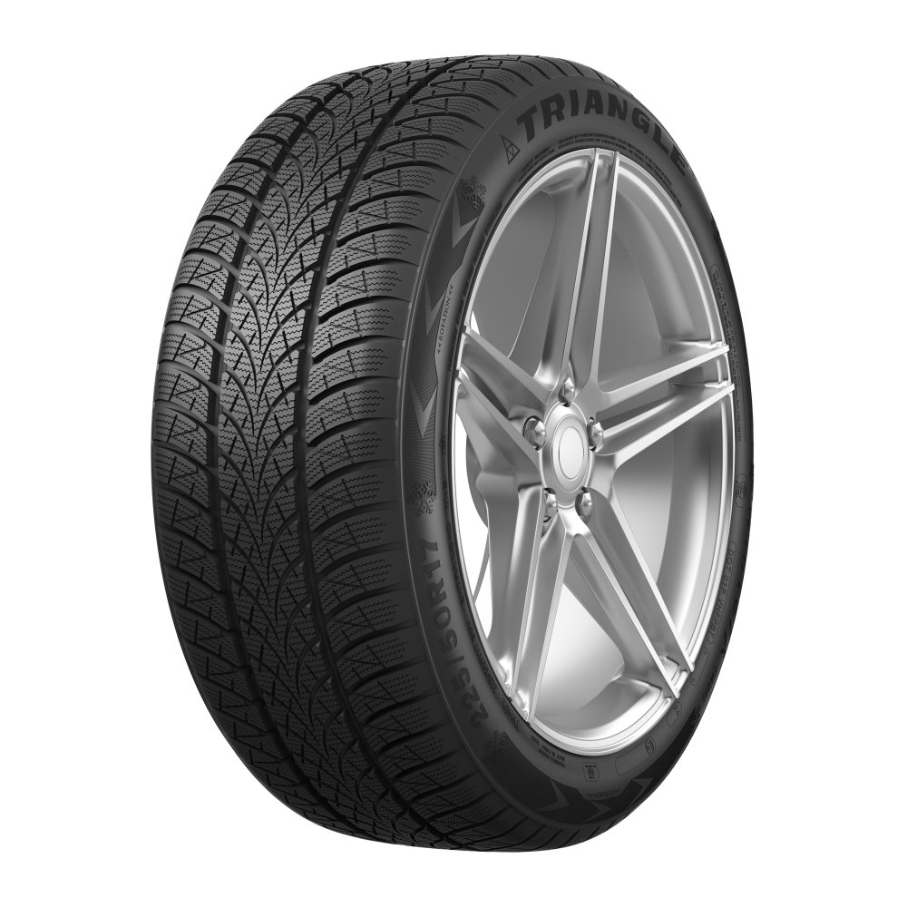 Triangle WinterX TW401 205/55 R16 94V