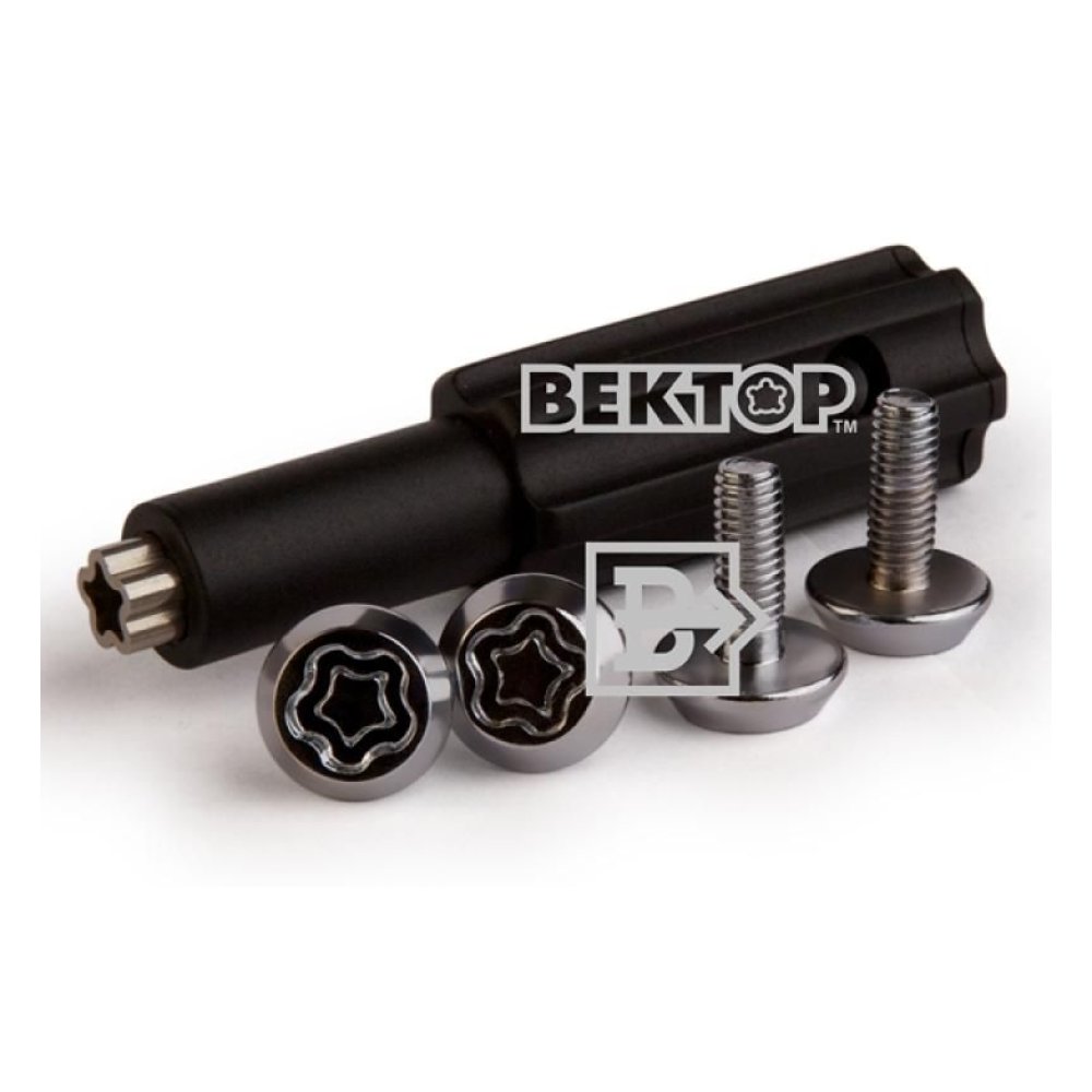 Вектор болт 6х1,00 L16 плоский на гос.номер [c121616-4]